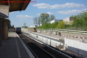 Bilder vom 30.05.2021