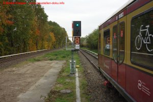 Bilder vom 25.10.2021