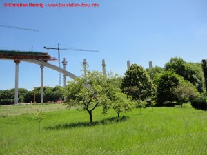 Bilder vom 06.06.2010