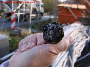 Bilder vom 02.11.2008