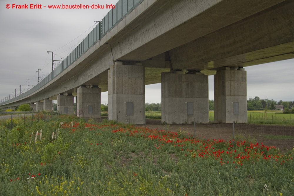 Saale-Elster-Talbrücke