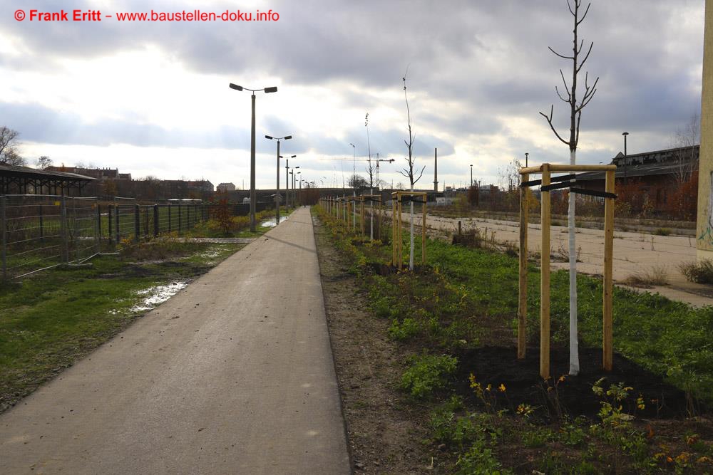 Die neuen Bäume wurden gepflanzt.