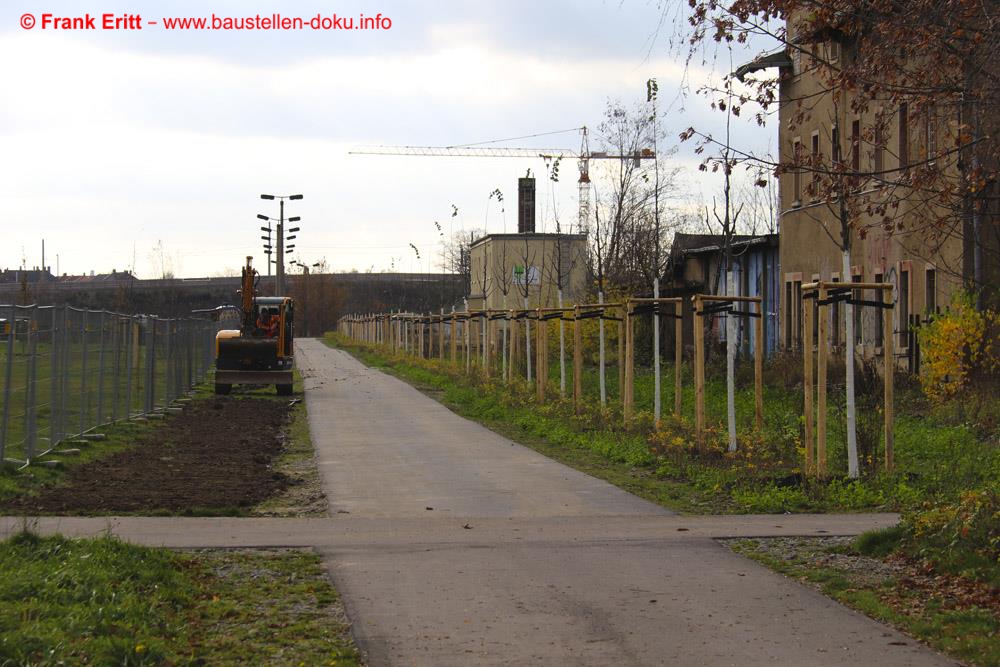 Die neuen Bäume wurden gepflanzt.