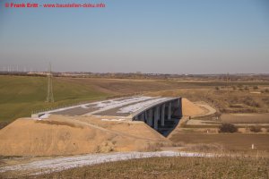 Bilder vom 19.02.2025